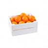 Naranja de mesa (por kilo)