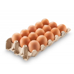 huevos blancos(maple x15)