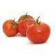 Tomate (por kilo)